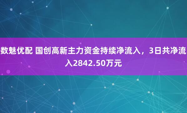 数魅优配 国创高新主力资金持续净流入，3日共净流入2842.50万元