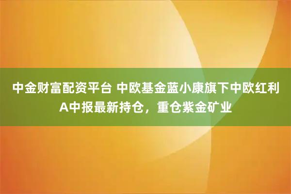 中金财富配资平台 中欧基金蓝小康旗下中欧红利A中报最新持仓，重仓紫金矿业