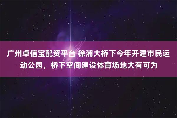 广州卓信宝配资平台 徐浦大桥下今年开建市民运动公园，桥下空间建设体育场地大有可为