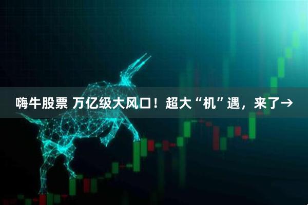 嗨牛股票 万亿级大风口！超大“机”遇，来了→